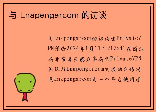 与 Lnapengarcom 的访谈